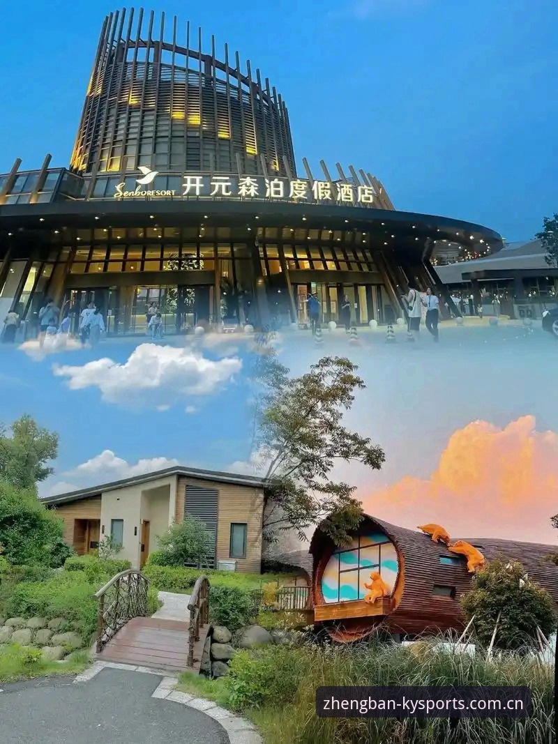 开元体育官网入口对比：正版KU版本与模糊渠道的全面分析
